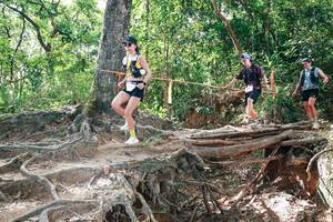 BIB: 
                            <button type="button" onclick="openModal(27719832)" class="btn btn-primary btn-sm float-right btn-popup" data-toggle="modal" data-target=".modal-high-quality">
                        <i class="fas fa-shopping-cart"></i> Add to Cart
                    </button>
                                            <button type="button" onclick="isThisMe(27719832, true)" class="btn btn-success btn-sm float-right btn-popup btn-isme hidden" data-toggle="tooltip" data-placement="bottom" title="นี่คือรูปของคุณใช่ไหม คลิกที่นี่เพื่อเอาเข้าอัลบั้ม">
                        <i class="fas fa-plus"></i> Add to album
                    </button>
                    <button type="button" onclick="isThisMe(27719832, false)" class="btn btn-warning btn-sm float-right btn-popup btn-isnotme hidden">
                        <i class="fas fa-ban"></i> Remove from album
                    </button>